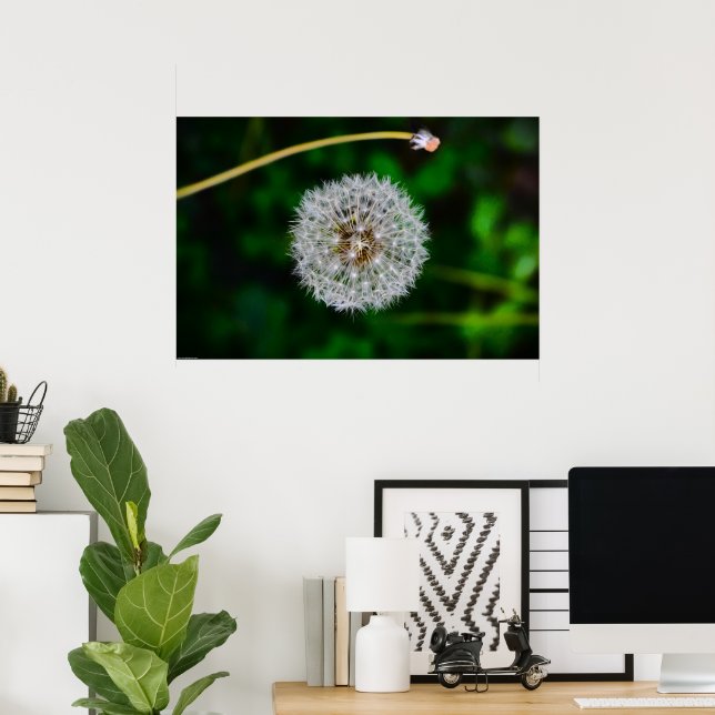 Dandelion Poster (Hemmakontoret)