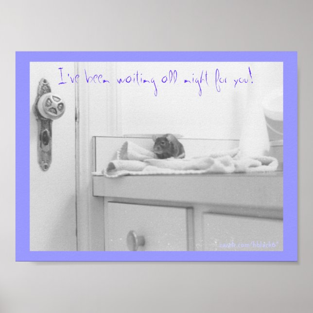 Dandelion Poster (Framsidan)