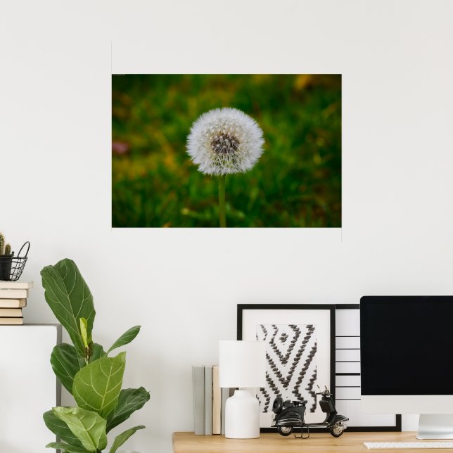 Dandelion Poster (Hemmakontoret)