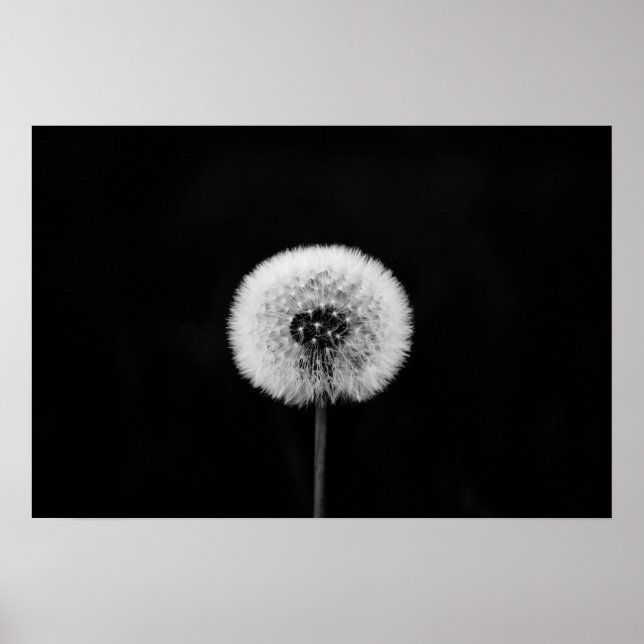Dandelion Print Poster (Framsidan)
