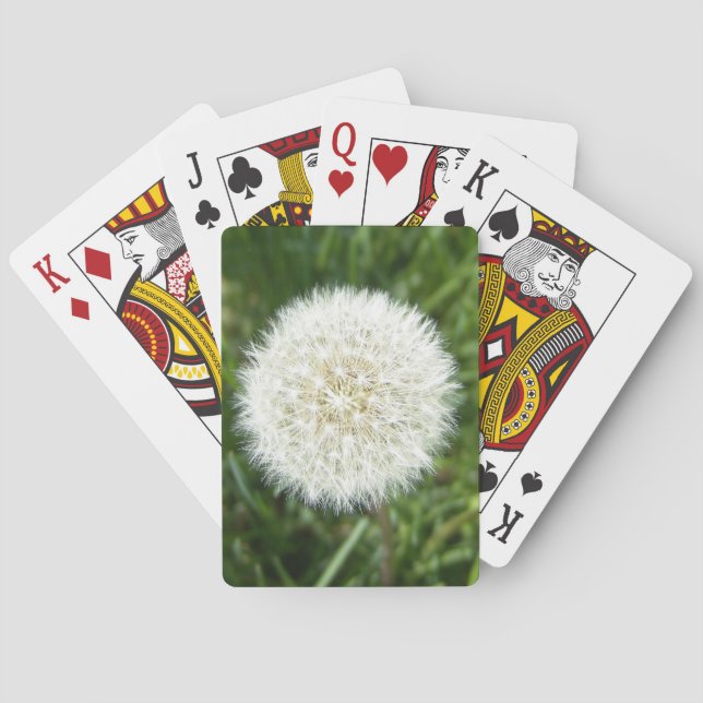 dandelion puff kortlek (Baksidan)