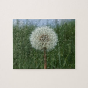 Dandelion Puzzle Pussel