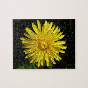 Dandelion Puzzle Pussel