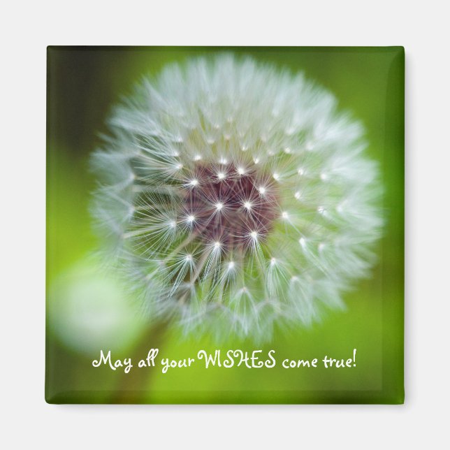 Dandelion Refrigerator Magnet (Framsidan)