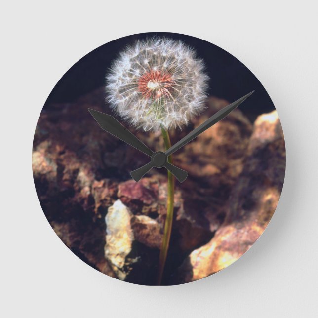 Dandelion Rund Klocka (Framsida)