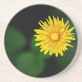 Dandelion Sandstone Underlägg Sandsten