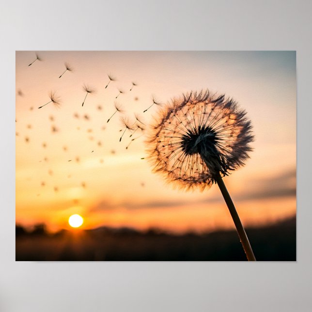 Dandelion seed head blowing poster (Framsidan)