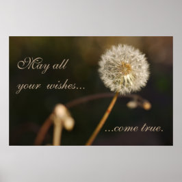 Dandelion Seed Head i Brown Tones Poster