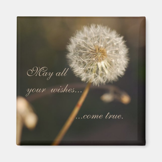 Dandelion Seed Head in Brown Tones  Magnet (Framsidan)