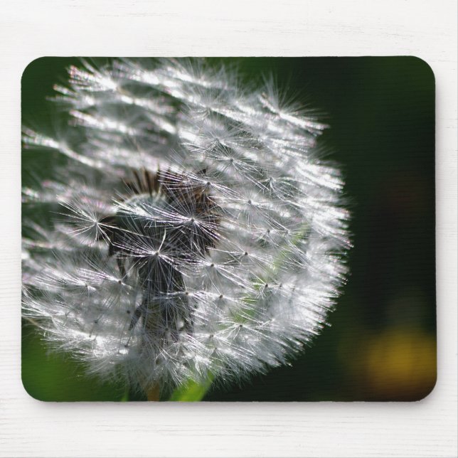 Dandelion Seed Head - Mousepad Musmatta (Framsidan)