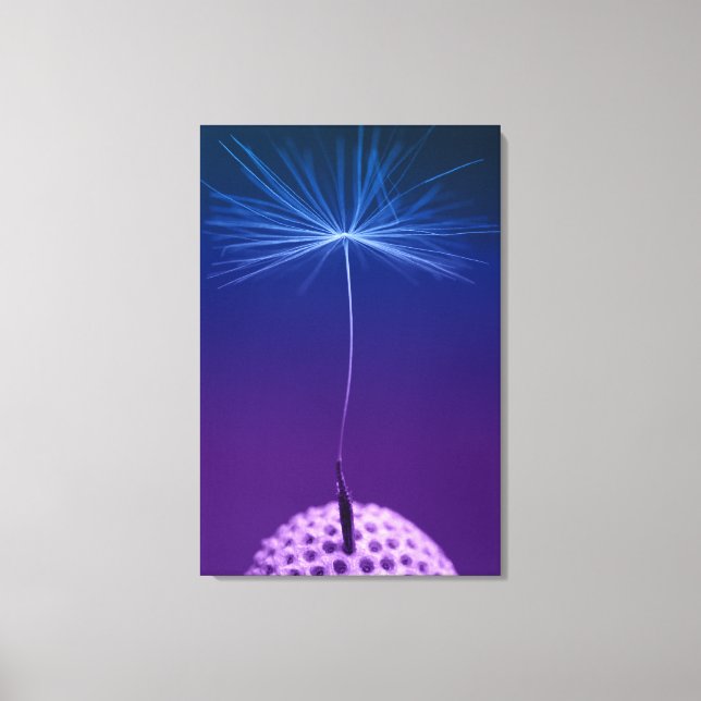 Dandelion Seed-makrofoto på Canvas (Framsida)