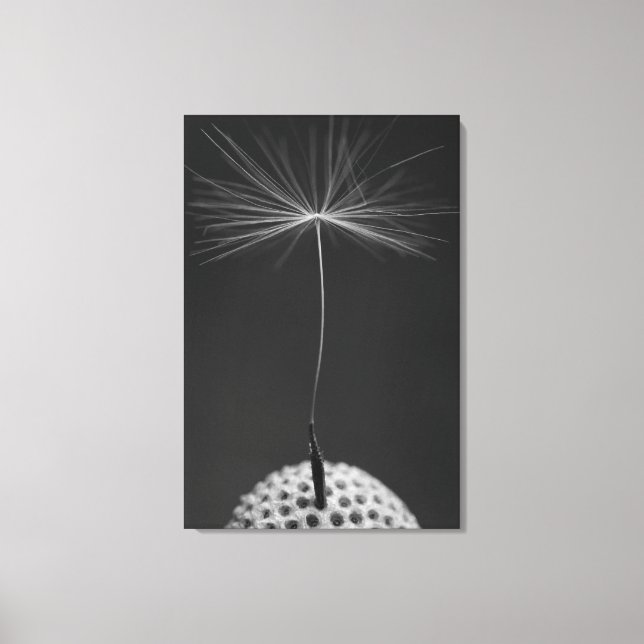 Dandelion Seed Photo on Canvas (Framsida)