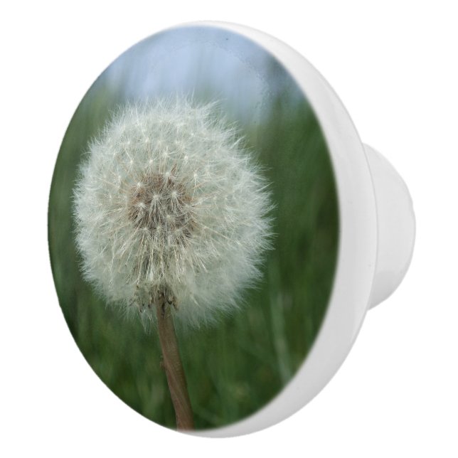 Dandelion Seedhead Dresser Knob Knopp (Höger)