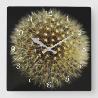 Dandelion Seedhead White Script Nummer wc Fyrkantig Klocka