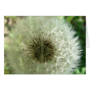 Dandelion Seeds Hälsningskort