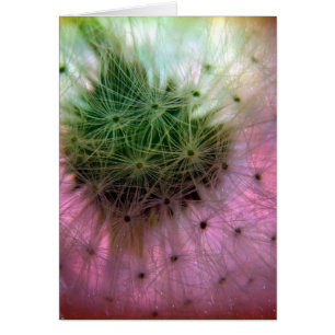 Dandelion Seeds Hälsningskort
