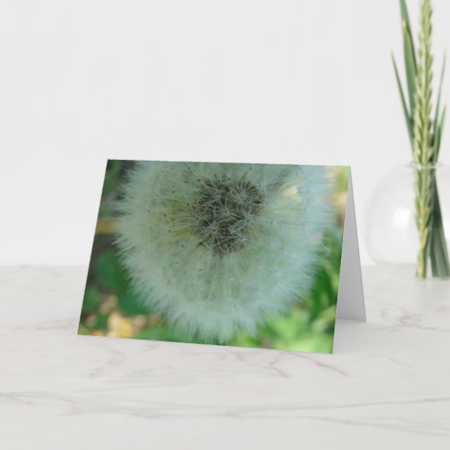 Dandelion Seeds Kort (Framsida)