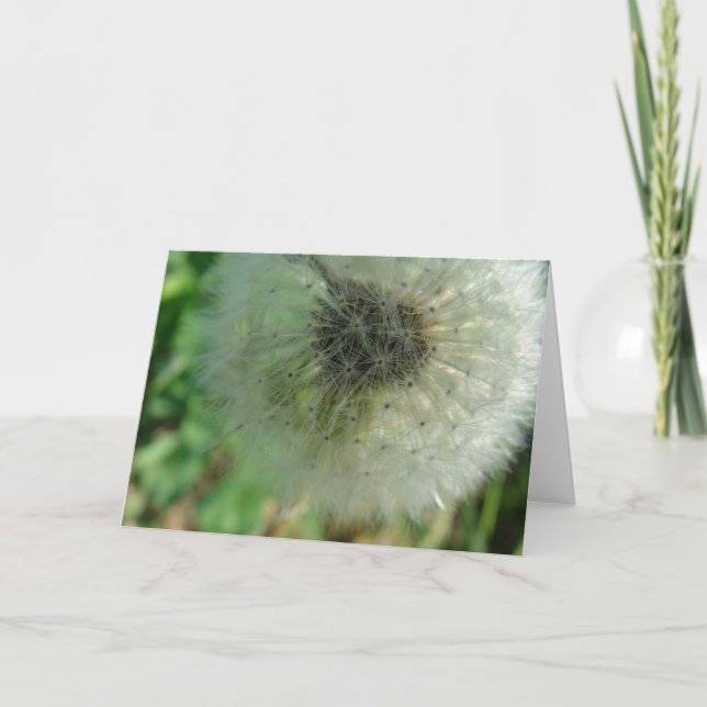 Dandelion Seeds Kort (Framsida)
