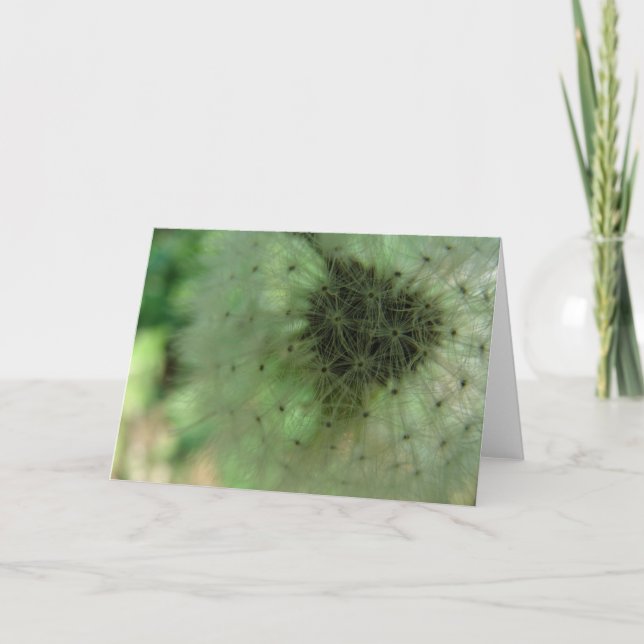 Dandelion Seeds Kort (Framsida)