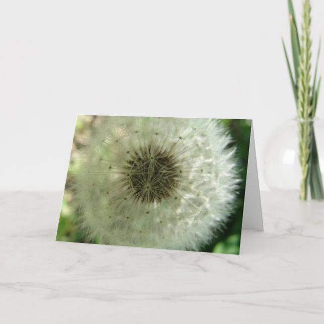 Dandelion Seeds Kort (Framsida)