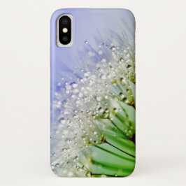 Dandelion Seeds med dryga droplets