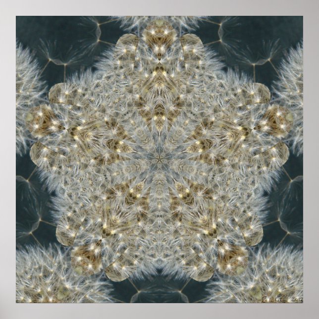 Dandelion Star Nov 2012 Poster (Framsidan)