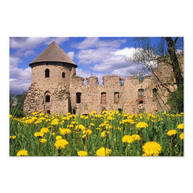 Dandelion surroundceicsis Castle in central Fototryck (Framsidan)