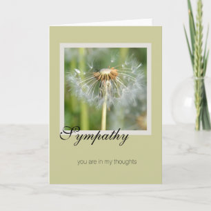 Dandelion Sympathy Kort