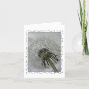 Dandelion - tackkort