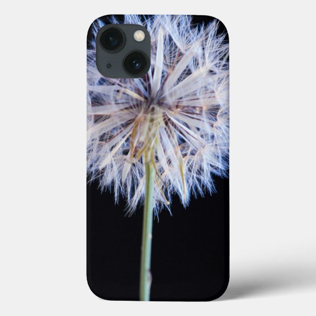 Dandelion (Taraxacum Officinale) Utsäde (Baksida)