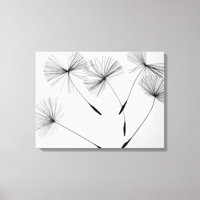 Dandelion Teckning Canvas (Framsida)