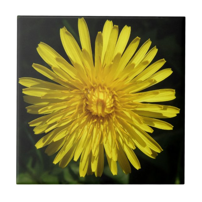 Dandelion Tile Kakelplatta (Framsidan)