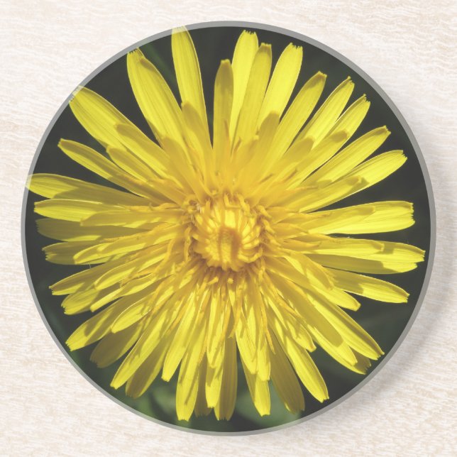 Dandelion Underläggs Underlägg Sandsten (Framsidan)