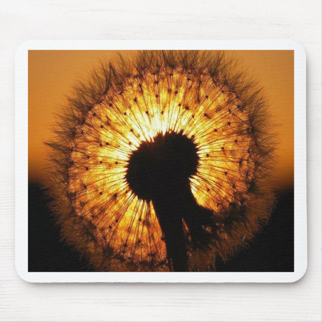 Dandelion vid Sunset Musmatta (Framsidan)