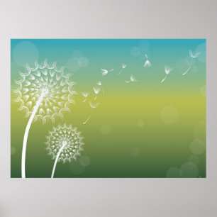 Dandelion Vind Flower Poster