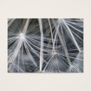 Dandelion Visitkort