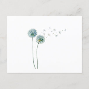 Dandelion-vykort Vykort