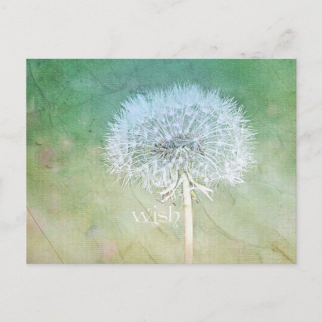 Dandelion Wish Dreamy Design Vykort (Framsida)