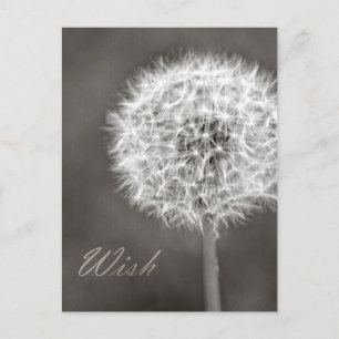 Dandelion Wish Vykort