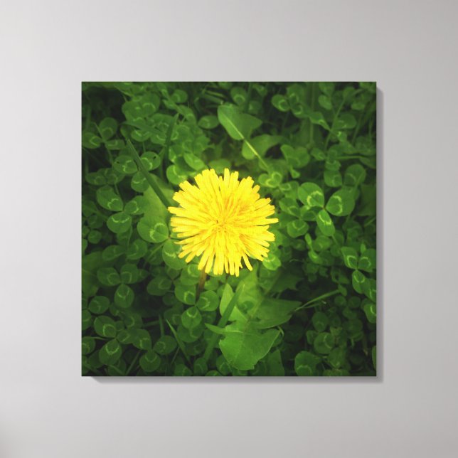 Dandelion Wrapped Canvas (Framsida)