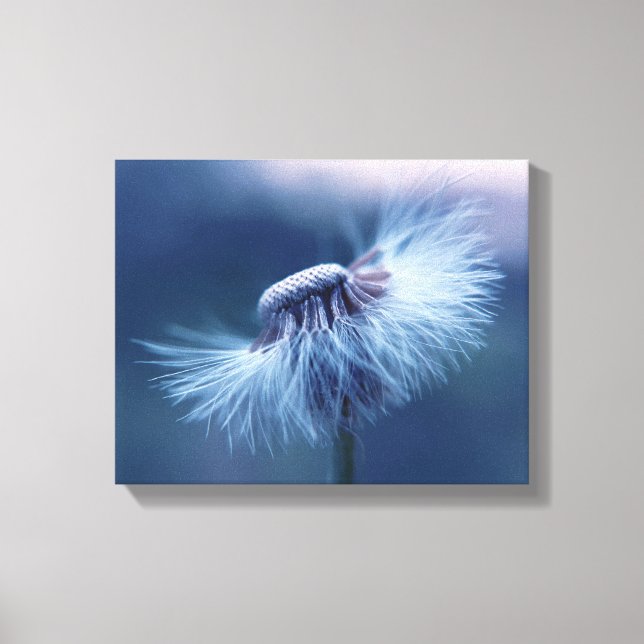 Dandelion Wrapped Canvas Art (Framsida)