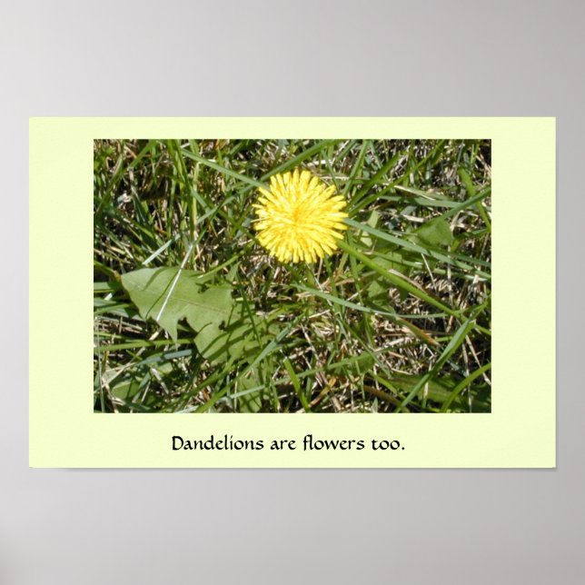 "Dandelioner är blommor" poster (Framsidan)