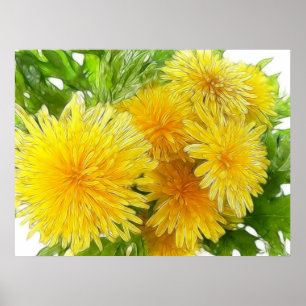 Dandelioner! Poster