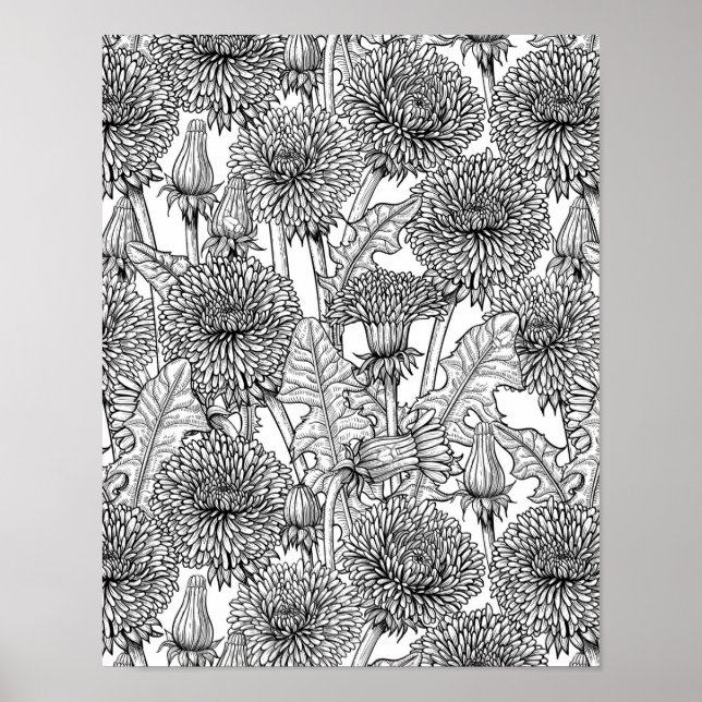 Dandelioner, svarta och vita poster (Framsidan)
