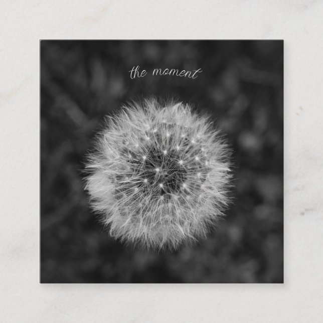 Dandelionfröhuvud. Var närvarande för tillfället. Tilläggskort (Framsida)