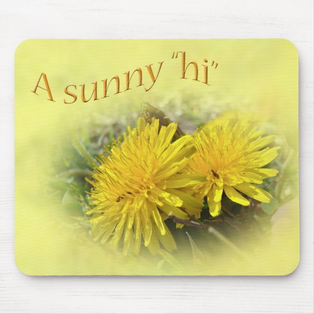 Dandelions - A Sunny Hi Musmatta (Framsidan)