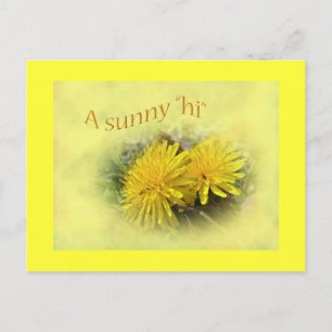 Dandelions - A Sunny Hi Vykort