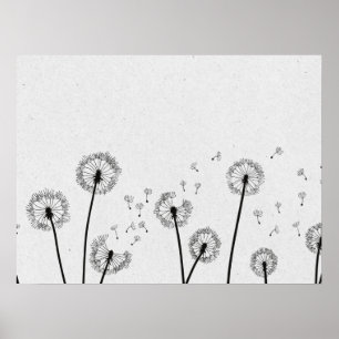 Dandelions Flowers Pappus Spores Grått Poster