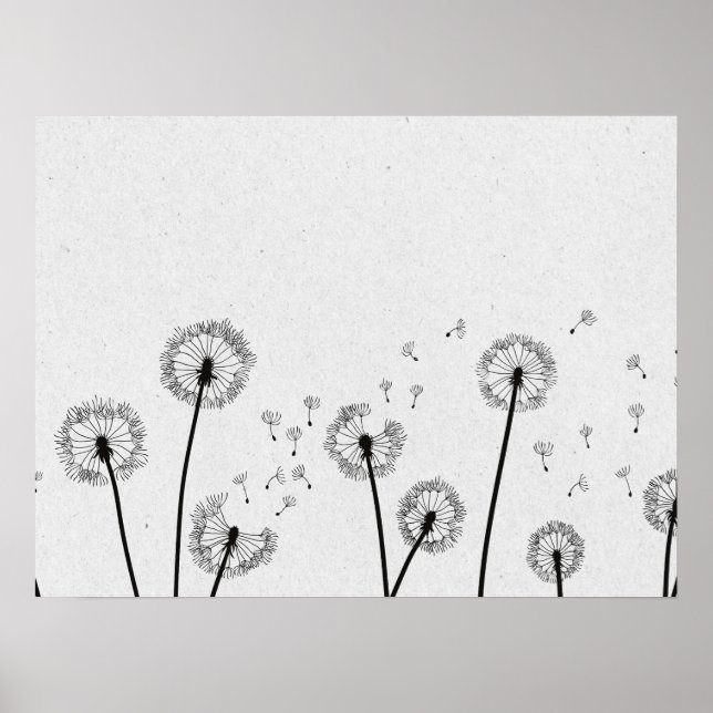 Dandelions Flowers Pappus Spores Grått Poster (Framsidan)