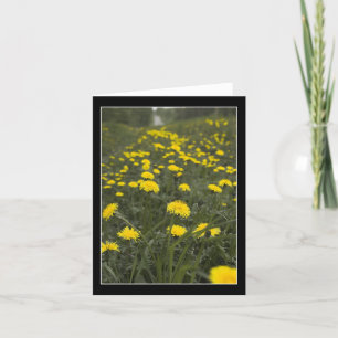 Dandelions i Minnesota Tack Kort